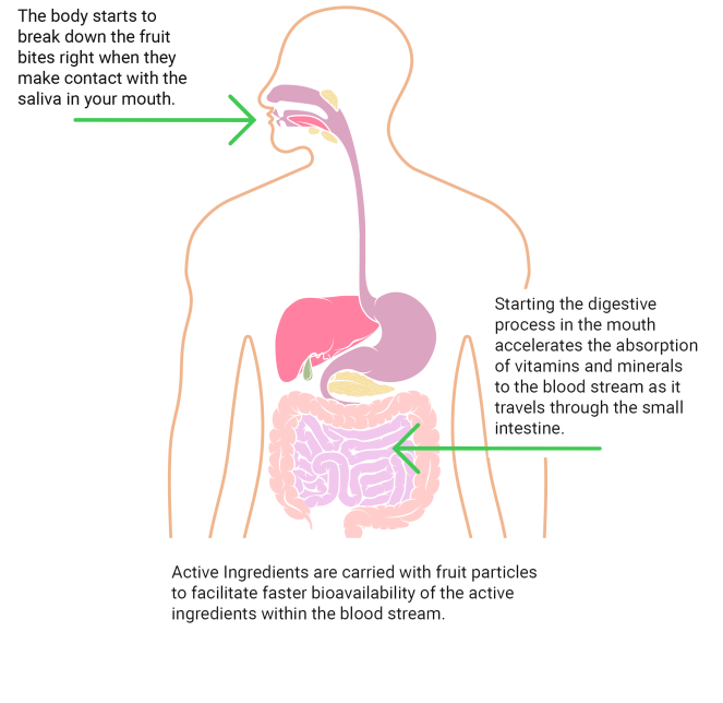 Human digestive track_v1